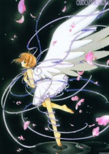 ccs-angel-blossoms.jpg